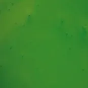 Apple Green Xtreme Polishing Systems