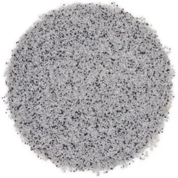 Dalmatian QB-1007 · 40S quartz