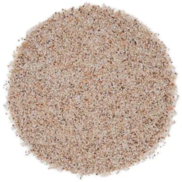 Coconut QB-1012 · 40S quartz