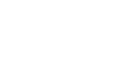 Prestige Surface Co.